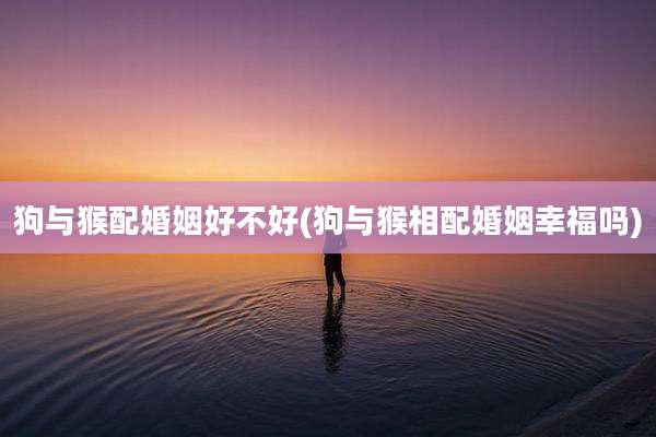 狗与猴配婚姻好不好(狗与猴相配婚姻幸福吗)