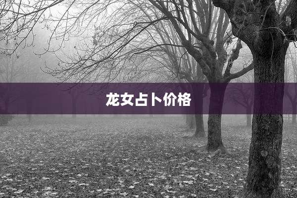 龙女占卜价格