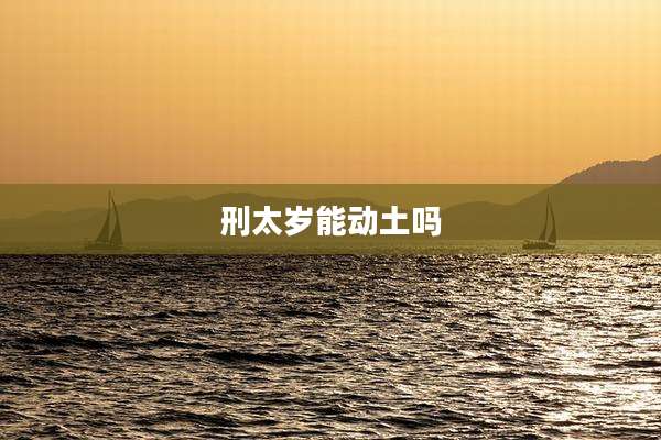 刑太岁能动土吗
