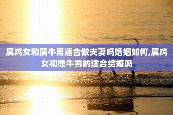 属鸡女和属牛男适合做夫妻吗婚姻如何,属鸡女和属牛男的适合结婚吗