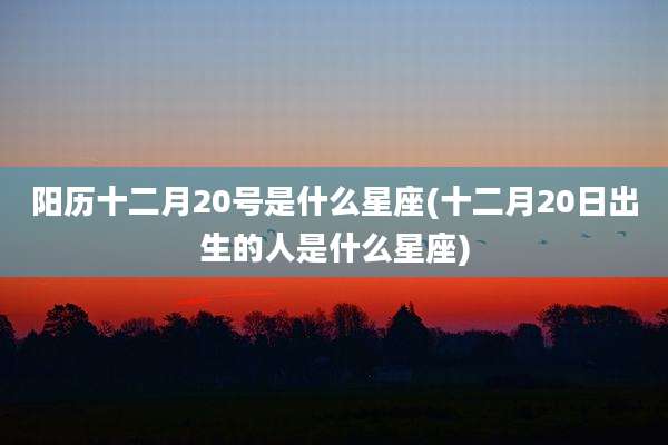 阳历十二月20号是什么星座(十二月20日出生的人是什么星座)