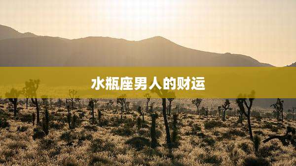 水瓶座男人的财运