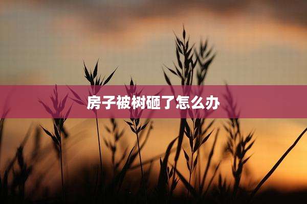 房子被树砸了怎么办