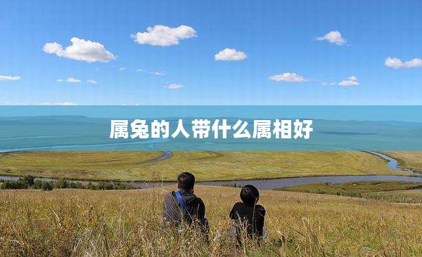 属兔的人带什么属相好