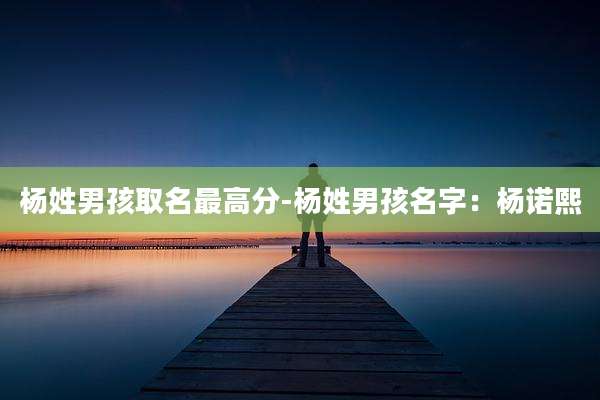 杨姓男孩取名最高分-杨姓男孩名字:杨诺熙