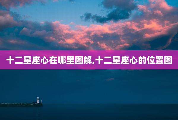 十二星座心在哪里图解,十二星座心的位置图