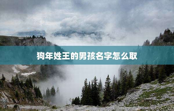 狗年姓王的男孩名字怎么取