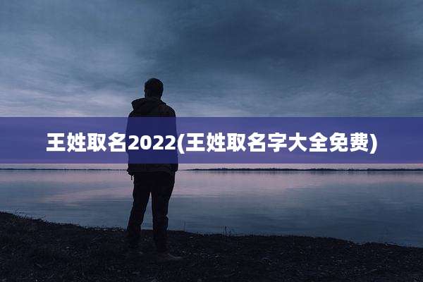 王姓取名2022(王姓取名字大全免费)