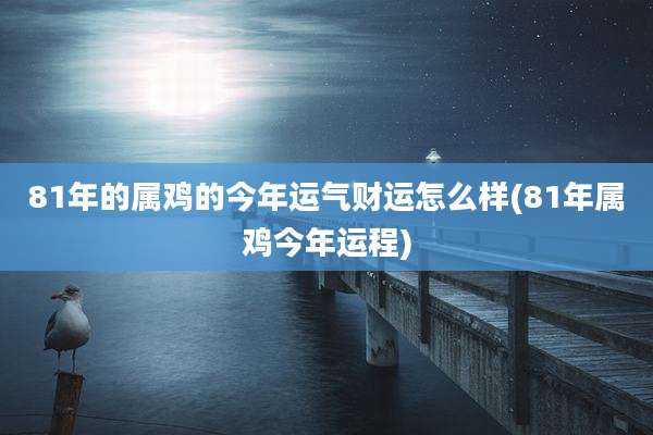81年的属鸡的今年运气财运怎么样(81年属鸡今年运程)