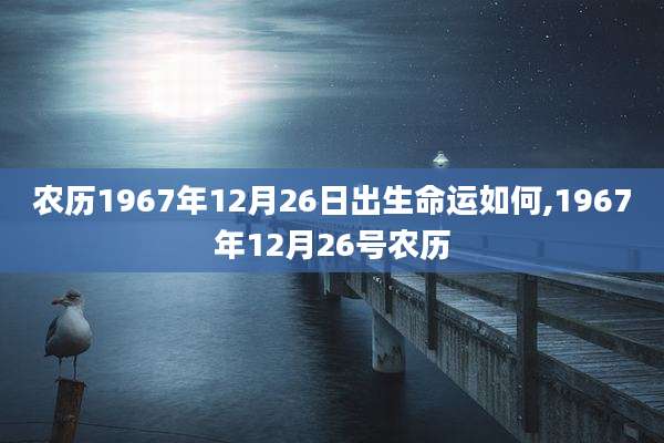 农历1967年12月26日出生命运如何,1967年12月26号农历
