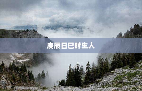 庚辰日巳时生人