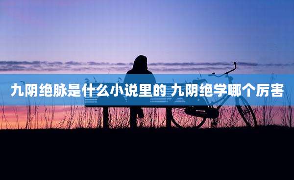 九阴绝脉是什么小说里的 九阴绝学哪个厉害