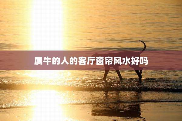 属牛的人的客厅窗帘风水好吗