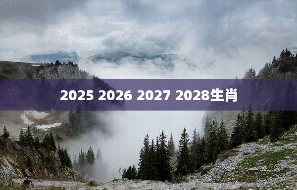 2025 2026 2027 2028生肖