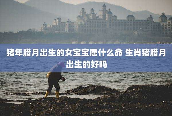 猪年腊月出生的女宝宝属什么命 生肖猪腊月出生的好吗