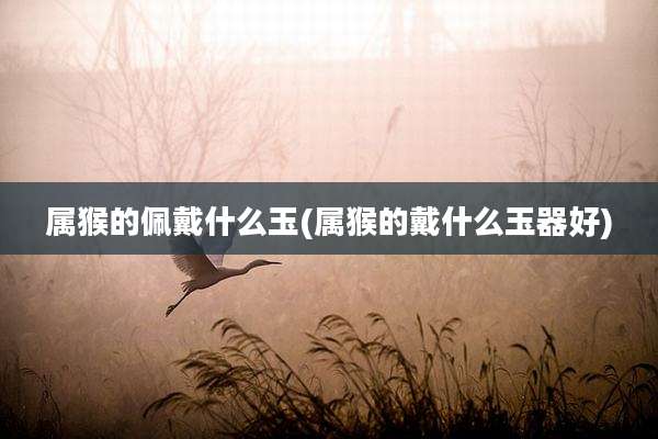 属猴的佩戴什么玉(属猴的戴什么玉器好)