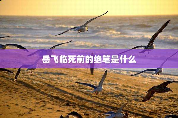 岳飞临死前的绝笔是什么