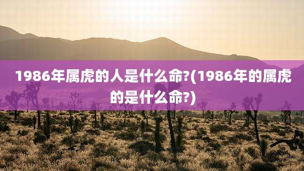 1986年属虎的人是什么命?(1986年的属虎的是什么命?)