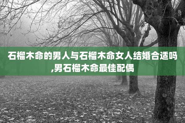 石榴木命的男人与石榴木命女人结婚合适吗,男石榴木命最佳配偶