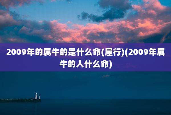 2009年的属牛的是什么命(屋行)(2009年属牛的人什么命)