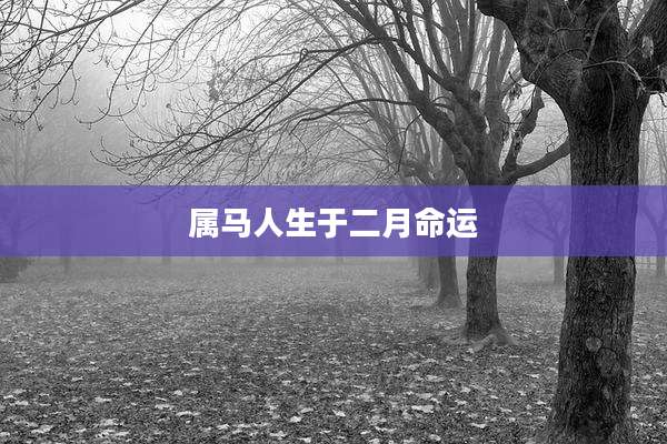 属马人生于二月命运