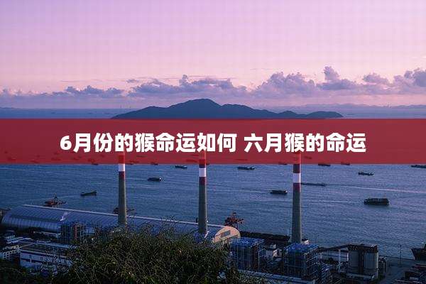 6月份的猴命运如何 六月猴的命运