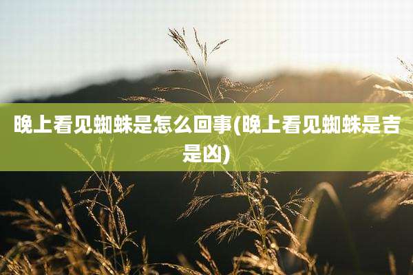 晚上看见蜘蛛是怎么回事(晚上看见蜘蛛是吉是凶)