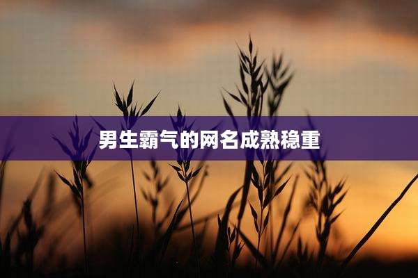 男生霸气的网名成熟稳重