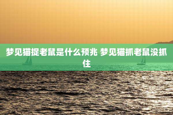 梦见猫捉老鼠是什么预兆 梦见猫抓老鼠没抓住