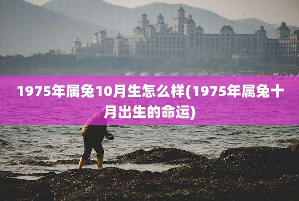 1975年属兔10月生怎么样(1975年属兔十月出生的命运)
