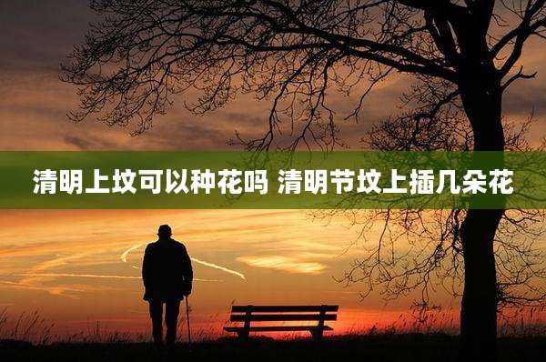 清明上坟可以种花吗 清明节坟上插几朵花