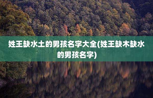 姓王缺水土的男孩名字大全(姓王缺木缺水的男孩名字)
