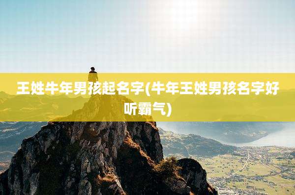 王姓牛年男孩起名字(牛年王姓男孩名字好听霸气)