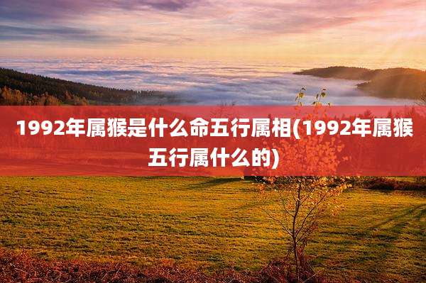 1992年属猴是什么命五行属相(1992年属猴五行属什么的)