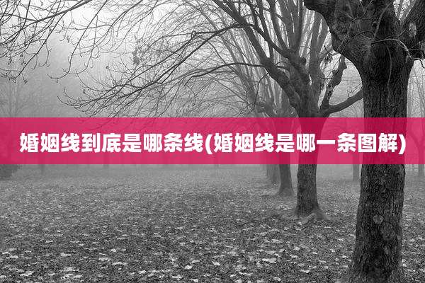 婚姻线到底是哪条线(婚姻线是哪一条图解)