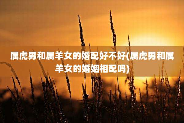 属虎男和属羊女的婚配好不好(属虎男和属羊女的婚姻相配吗)