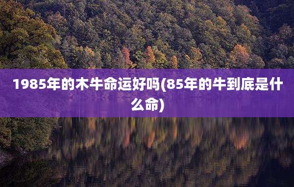1985年的木牛命运好吗(85年的牛到底是什么命)