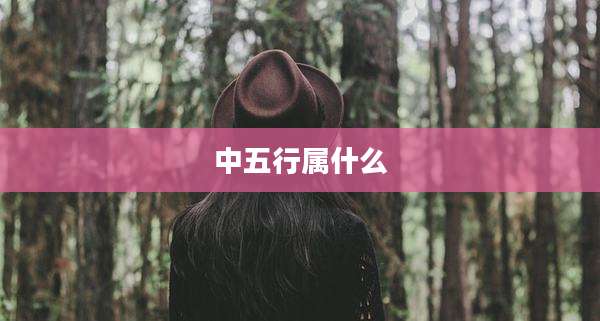 中五行属什么