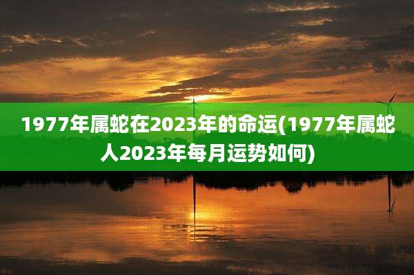 1977年属蛇在2023年的命运(1977年属蛇人2023年每月运势如何)