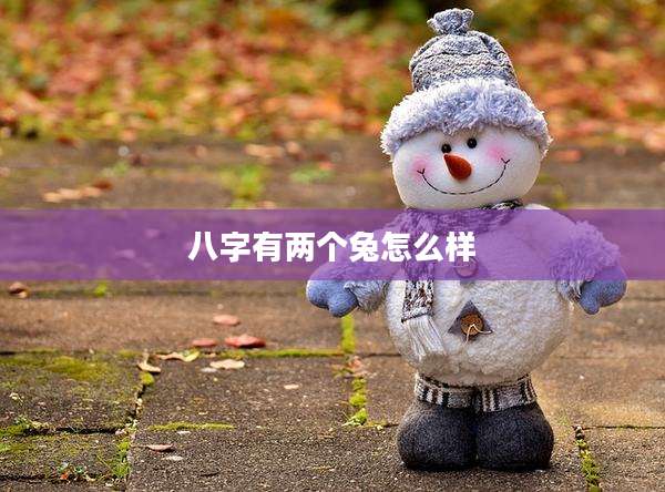 八字有两个兔怎么样