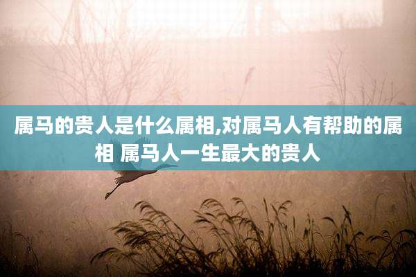 属马的贵人是什么属相,对属马人有帮助的属相 属马人一生最大的贵人