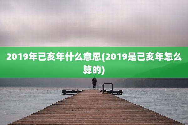 2019年己亥年什么意思(2019是己亥年怎么算的)