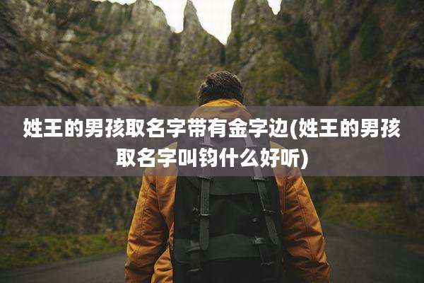 姓王的男孩取名字带有金字边(姓王的男孩取名字叫钧什么好听)