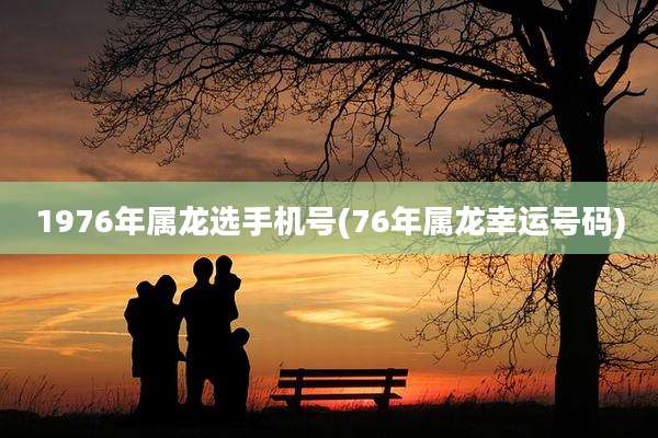 1976年属龙选手机号(76年属龙幸运号码)