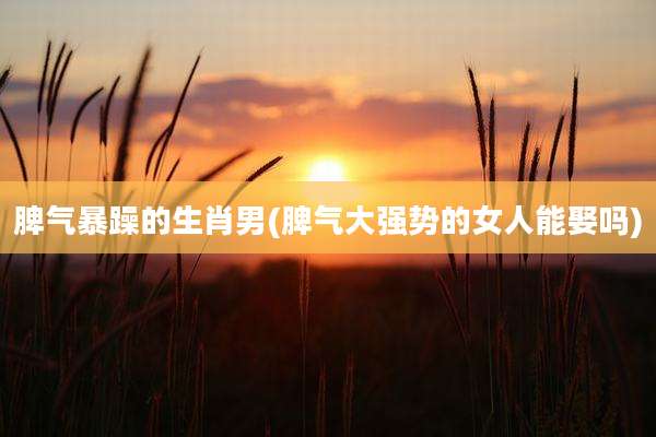 脾气暴躁的生肖男(脾气大强势的女人能娶吗)