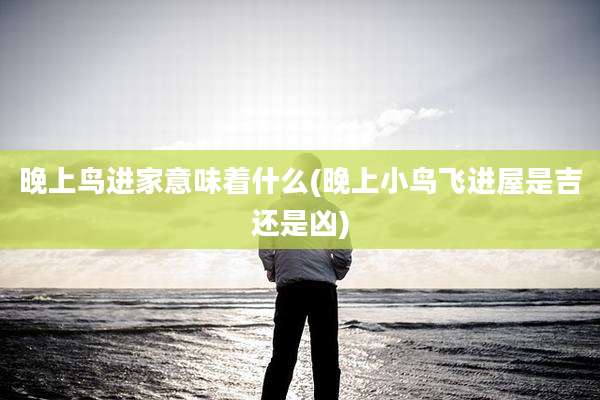 晚上鸟进家意味着什么(晚上小鸟飞进屋是吉还是凶)