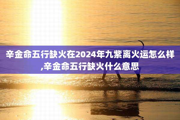辛金命五行缺火在2024年九紫离火运怎么样,辛金命五行缺火什么意思