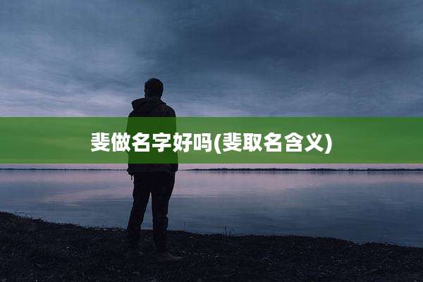 斐做名字好吗(斐取名含义)