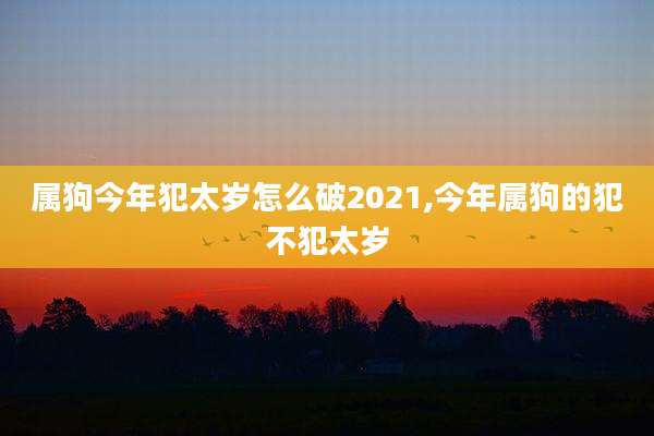 属狗今年犯太岁怎么破2021,今年属狗的犯不犯太岁