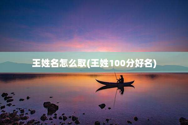 王姓名怎么取(王姓100分好名)